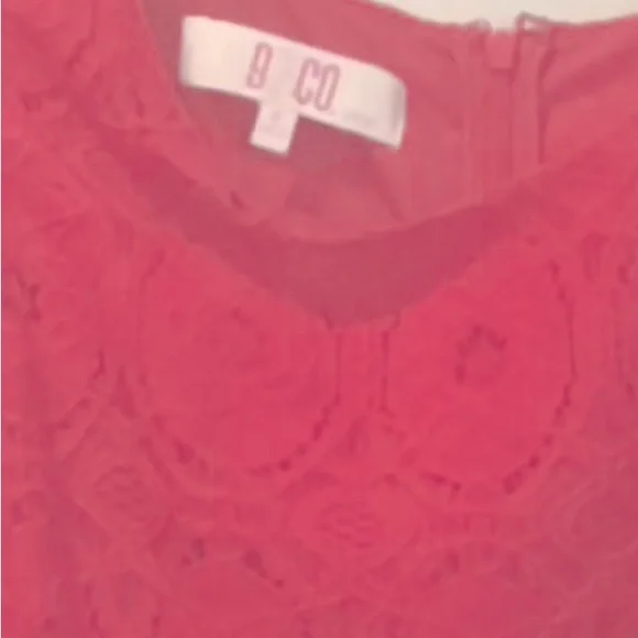 Pretty in Pink Lace Fitted Dress - Picture 3 of 3